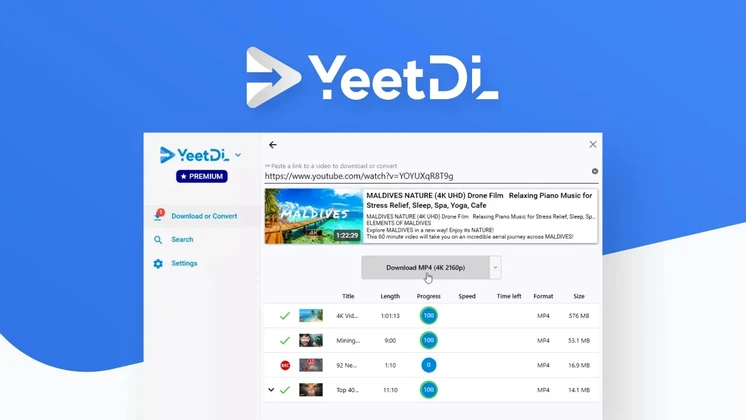 yeetdl review